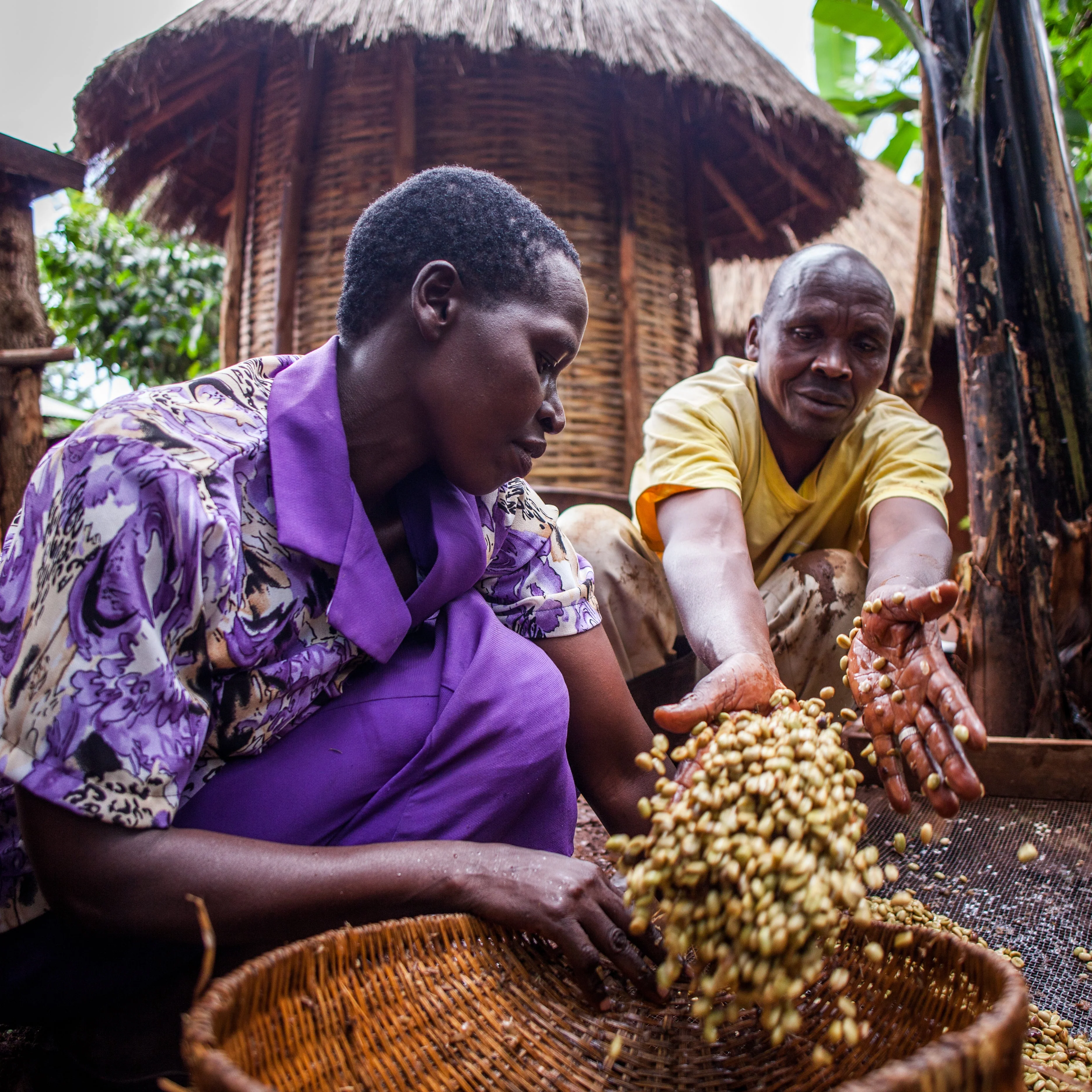 Bukonzo Ana. - Image 11