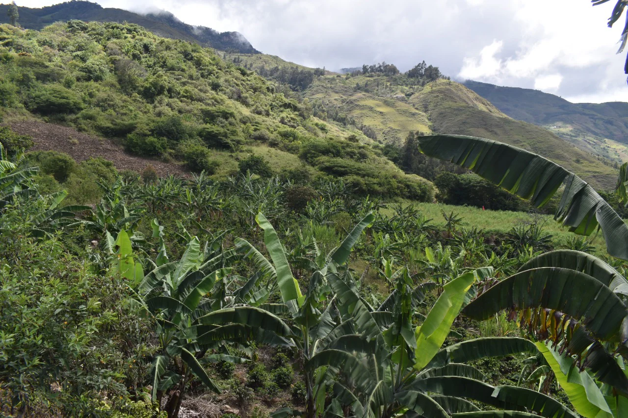 El Campo - Image 4
