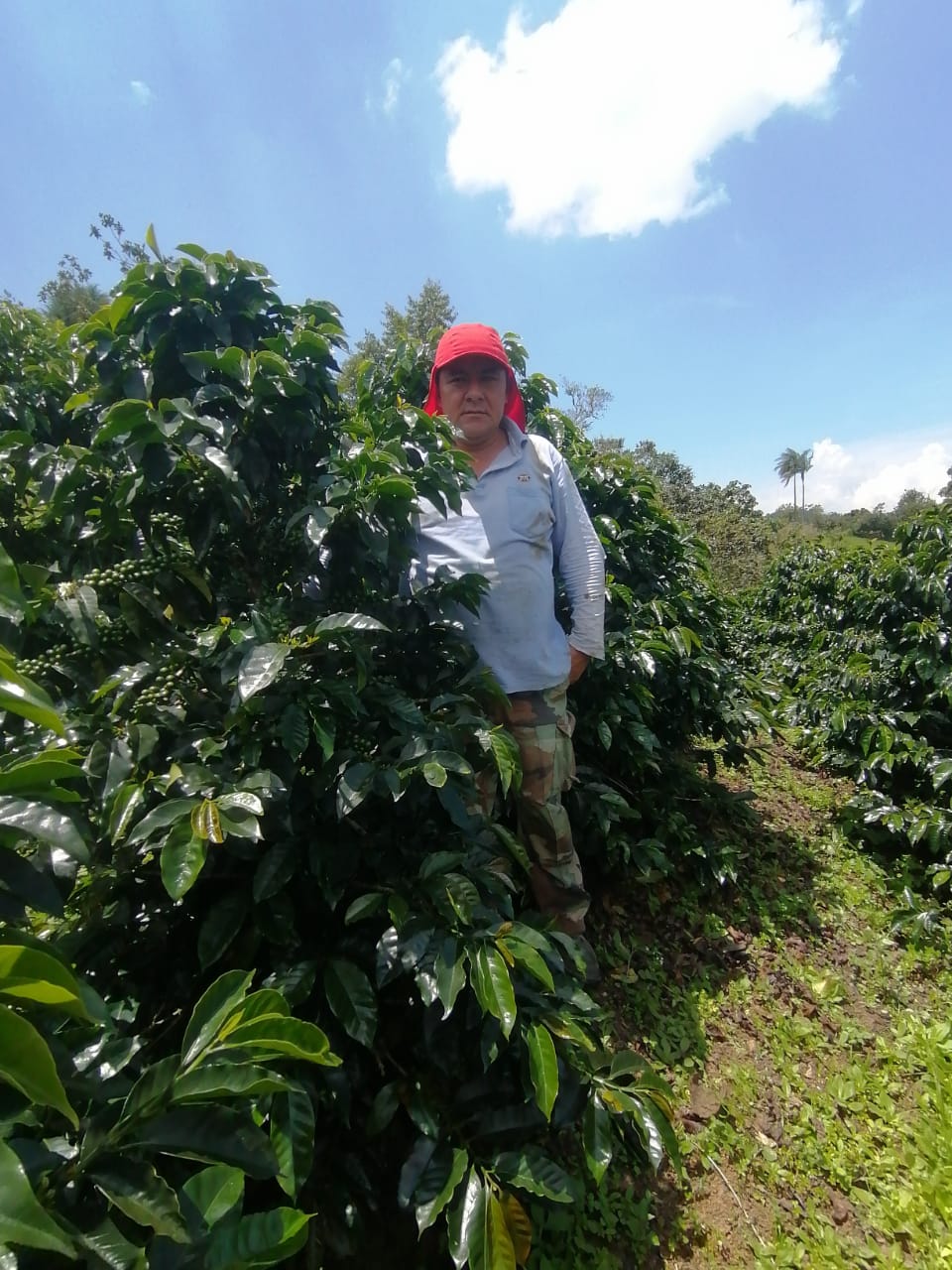 El Campo - Image 5