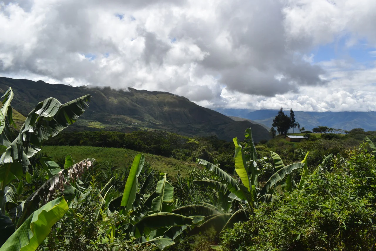 El Campo - Image 6