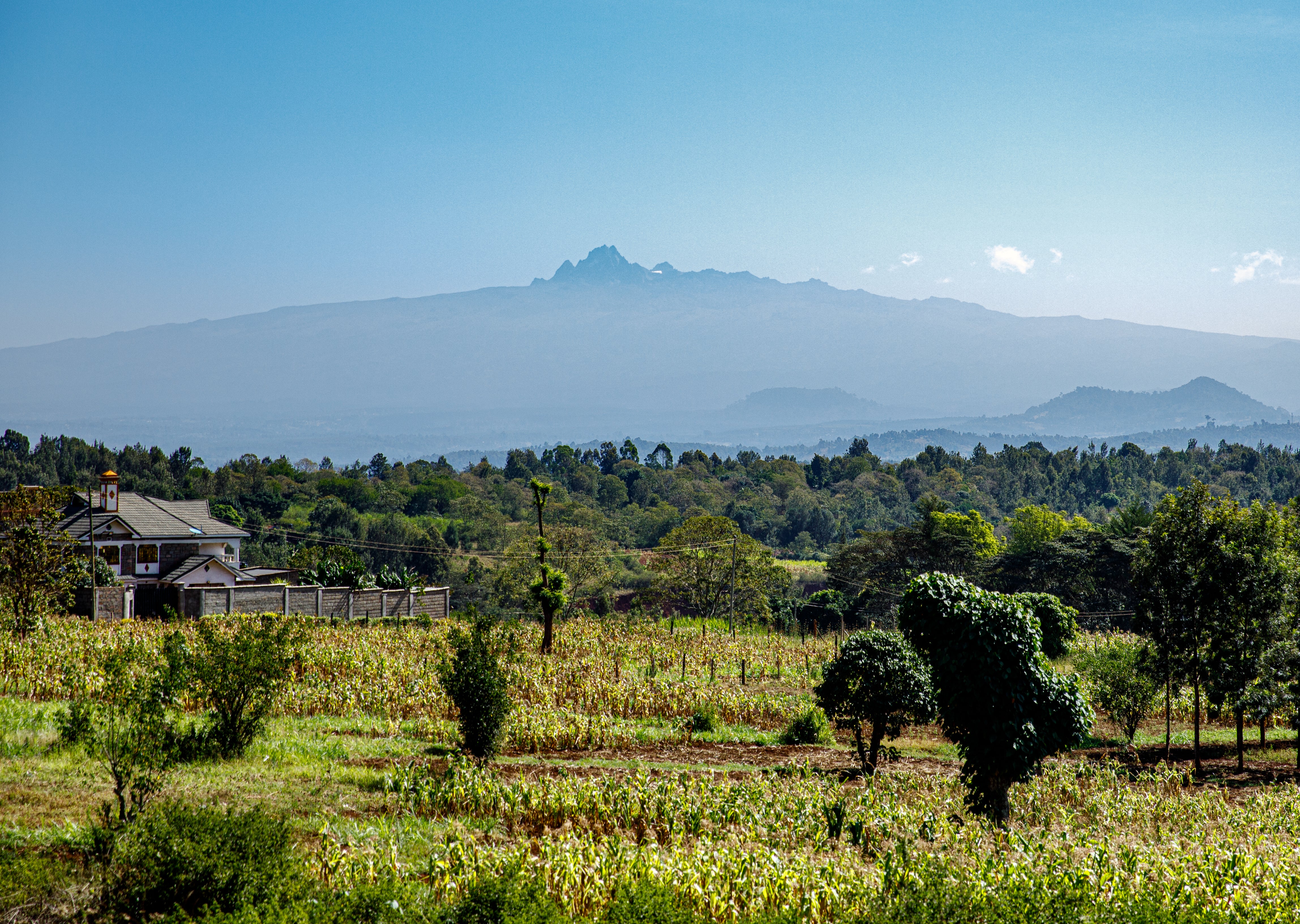 Hewa - Image 3